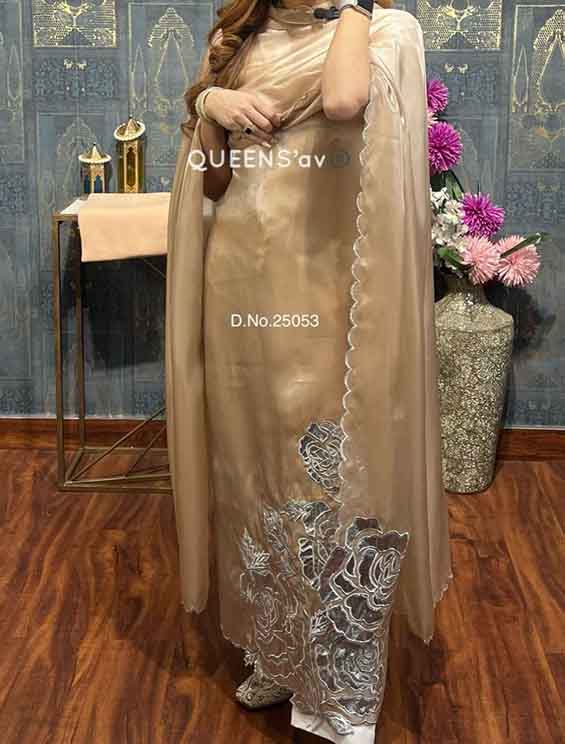 Pure shimmer organza suit beautiful  work Beautiful leather work flowers rich cut work