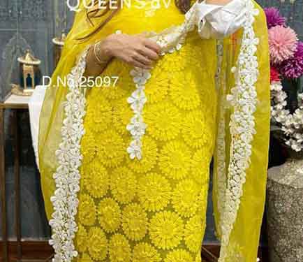 Beautiful soft organza ????shirt✡️ all over sunflower thread embroidered✡️Pakistani concept