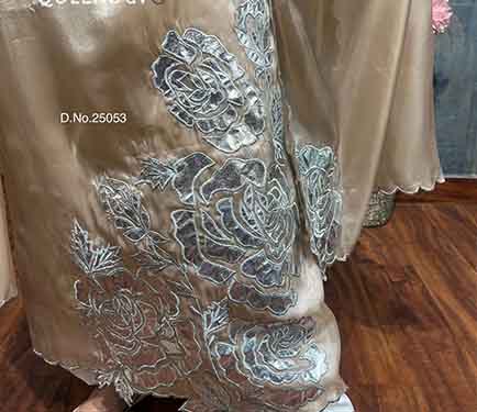 Pure shimmer organza suit beautiful  work Beautiful leather work flowers rich cut work