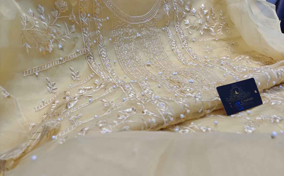 Semi-stitched Organza with beautiful embroidery 2 Sided frill border lace